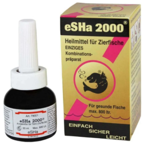 eSHa 2000