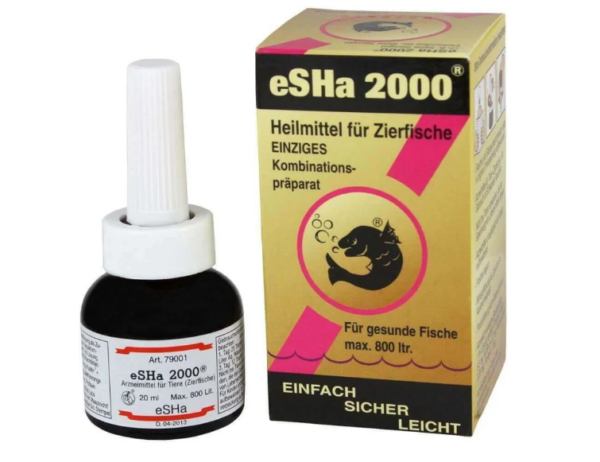 eSHa 2000