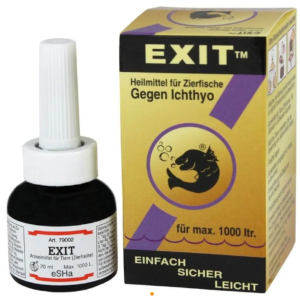 Exit