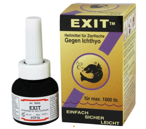 Exit