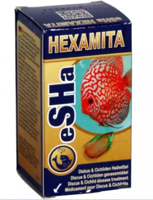 eSHa Hexamita