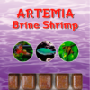 ARTEMIA 100 G