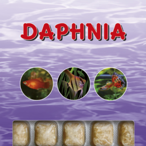 DAPHNIA 100G